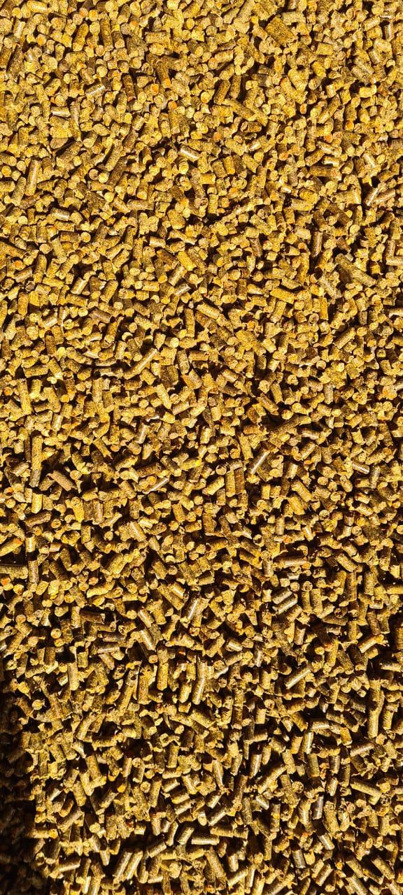 PHOTO-2026-01-26-20-51-57.jpg (1)